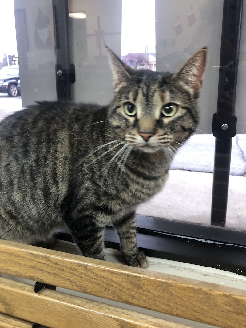 Snider Veterinary Services photo 3