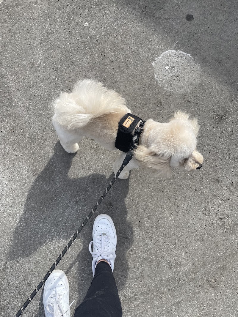 Royal Pet Beauty Shop