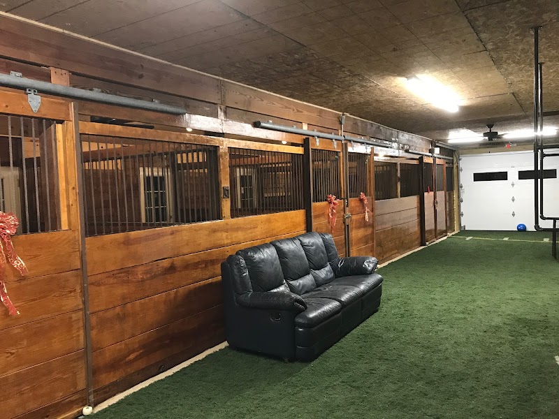 Countrytime K9 photo 2