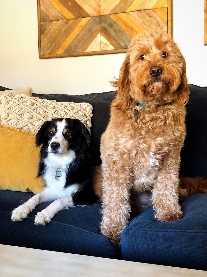 Comfort Zone Sitters photo 2