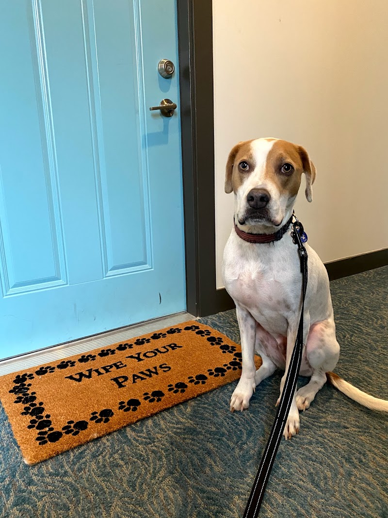 Comfort Zone Sitters photo 3