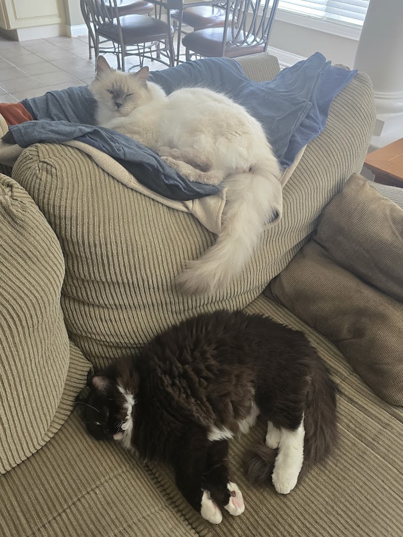 Sherlock Bones Animal Hospital photo 2