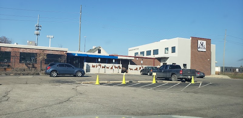 Face Low Cost Animal Clinic photo 3