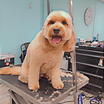 Groomingdales photo 2