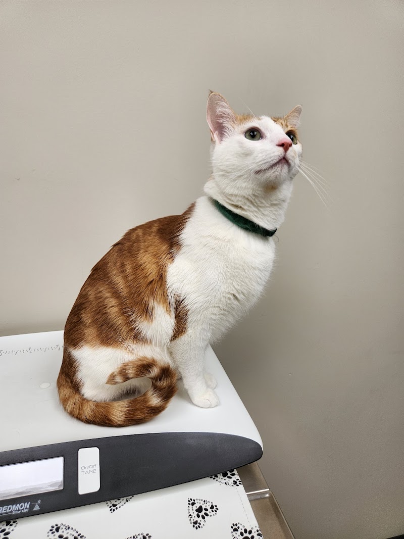 Lyndale Animal Hospital photo 3