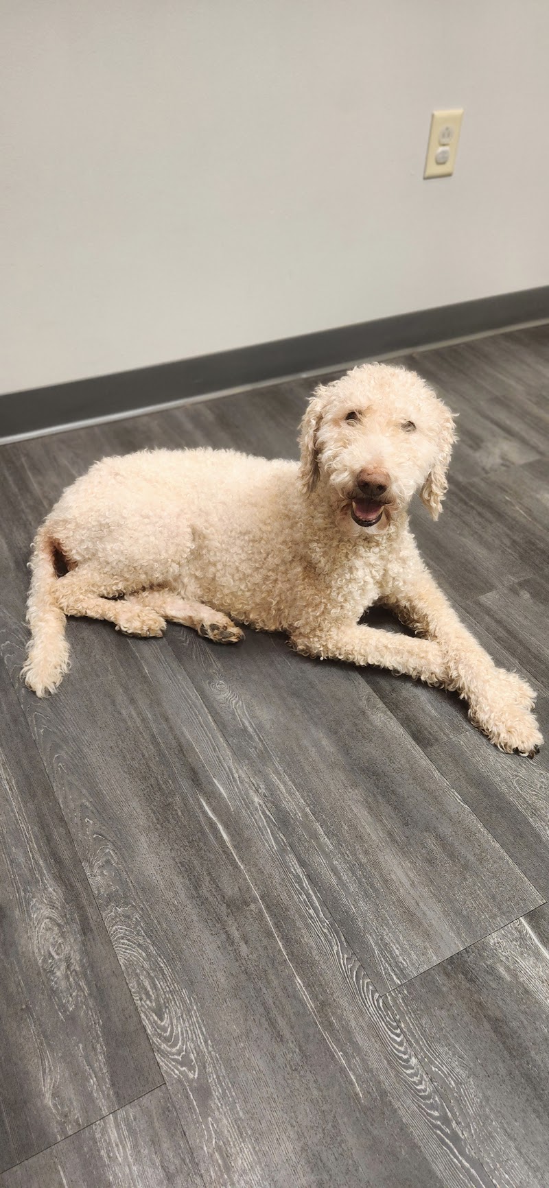 Parkside Animal Hospital