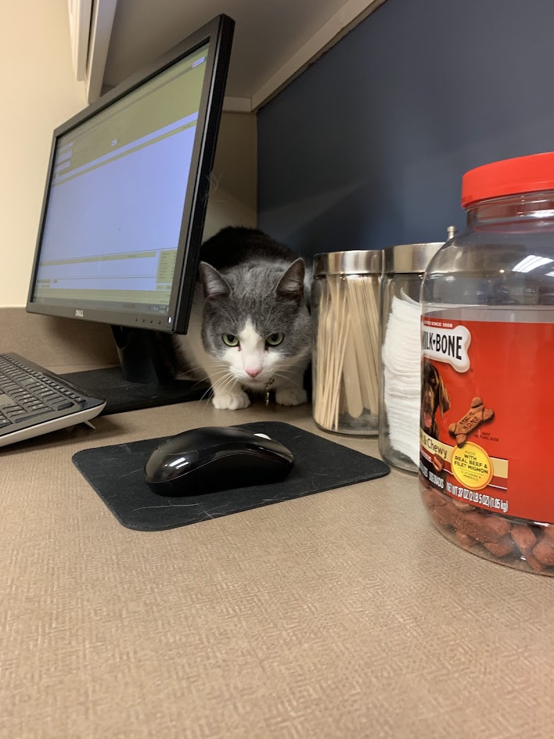 Parkside Animal Hospital photo 2