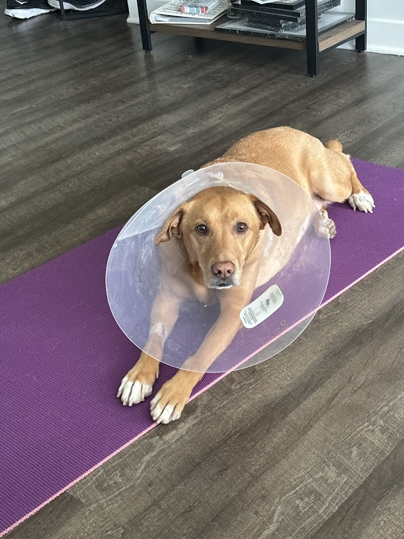 Parkside Animal Hospital photo 3