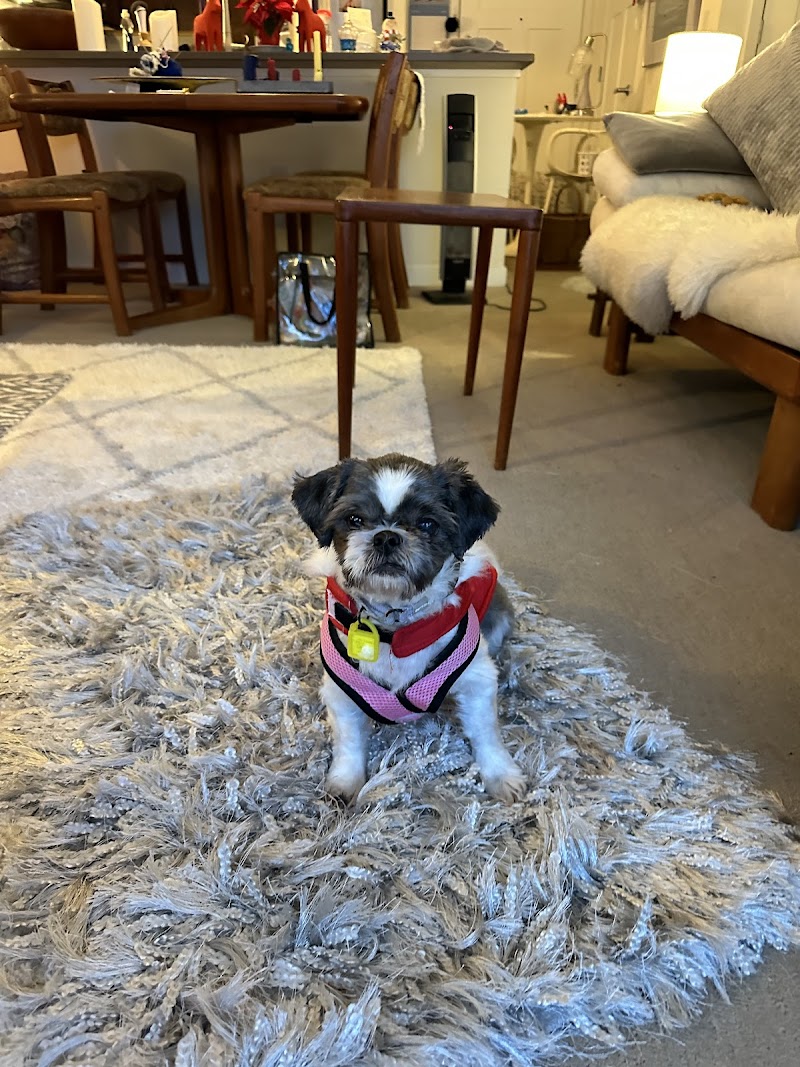 Bay View Veterinary Clinic