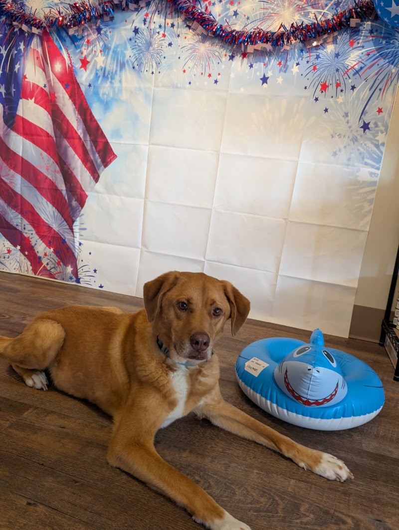 Bay View Veterinary Clinic photo 2