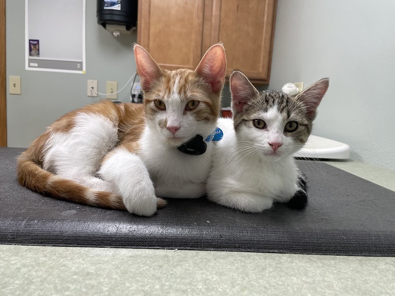 Bay View Veterinary Clinic photo 3