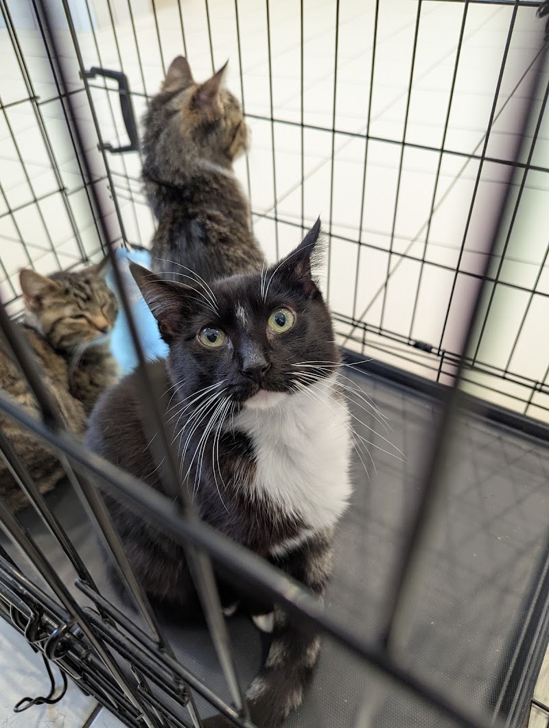 Cleveland Animal Protective League photo 3