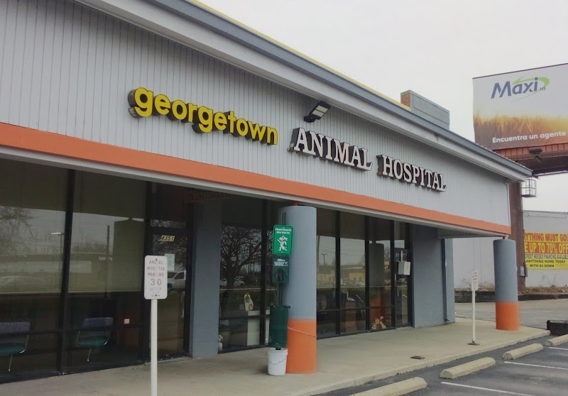 Georgetown Animal Hospital photo 2