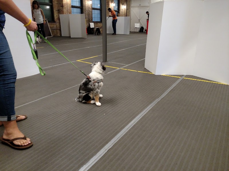 PAWS Chicago Training Center photo 2