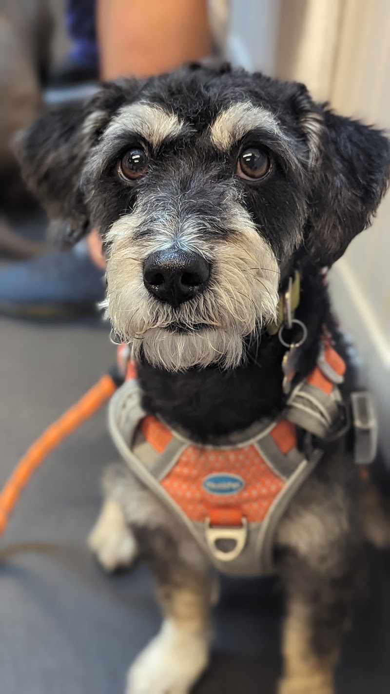 PAWS Chicago Training Center photo 3