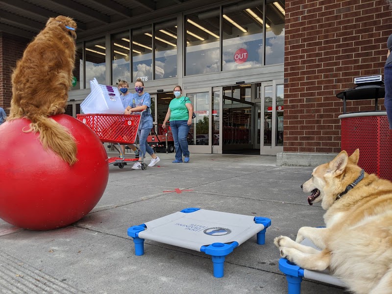 John Earle Dog Training photo 2