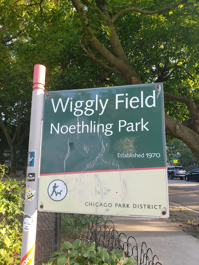 Wiggly Field
