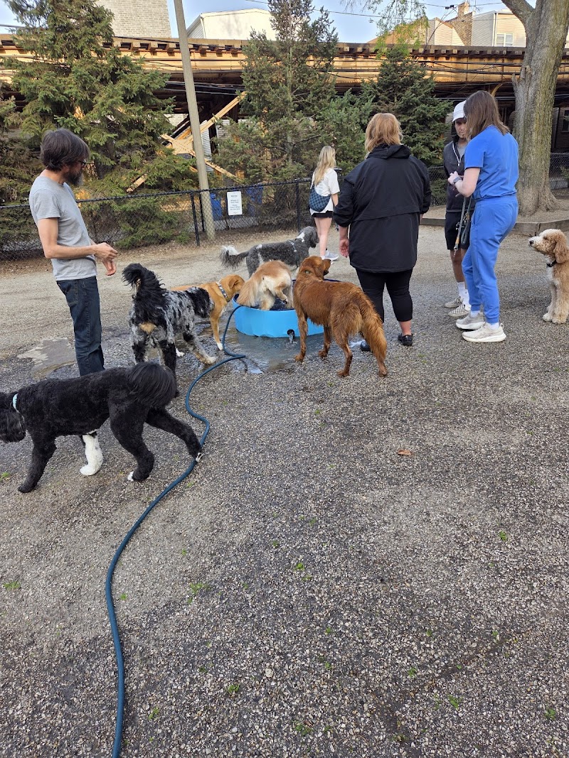 Wiggly Field photo 3