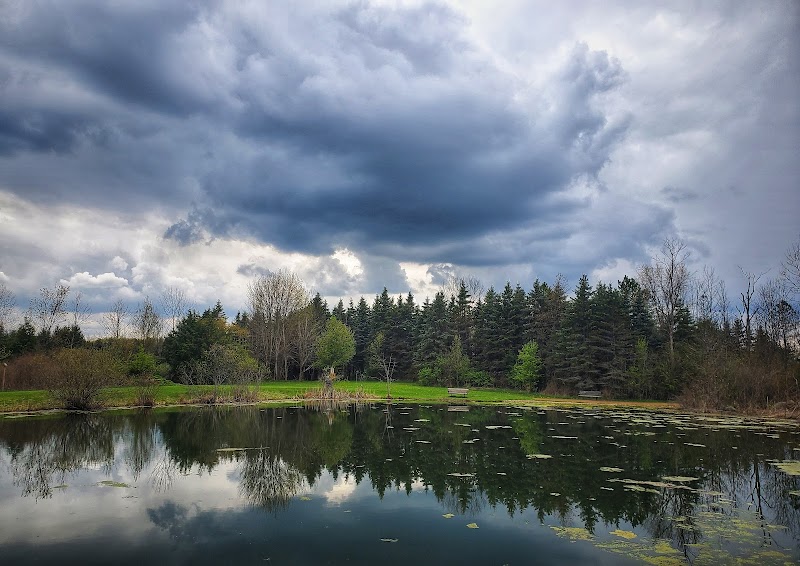 Thomas Heritage Park photo 3