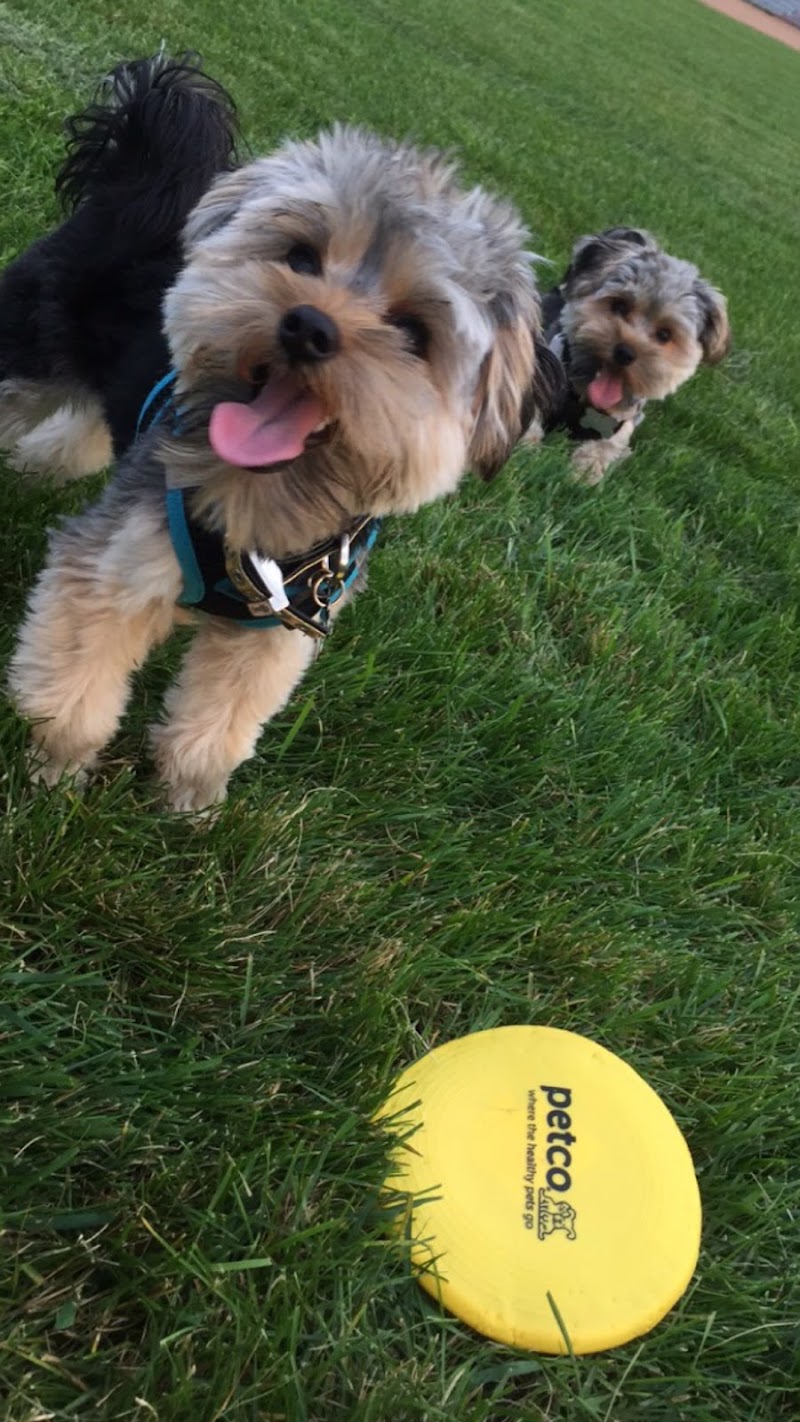 K-9 & Kitty Kutters photo 3