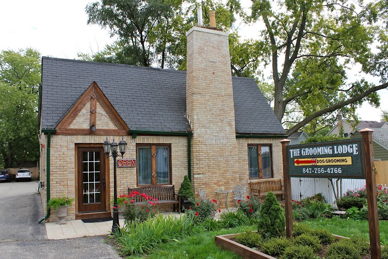 Doggy Detail photo 2