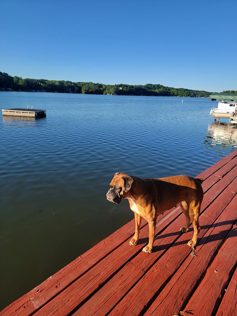 DuPage County Animal Services photo 2