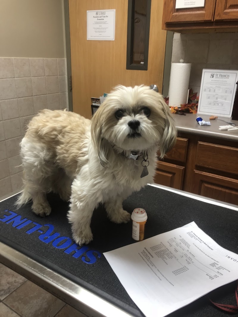 St Francis Animal Hospital photo 2