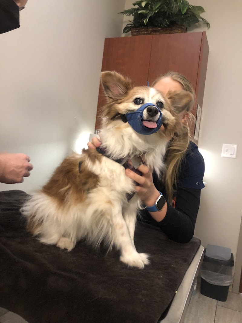 St Francis Animal Hospital photo 3