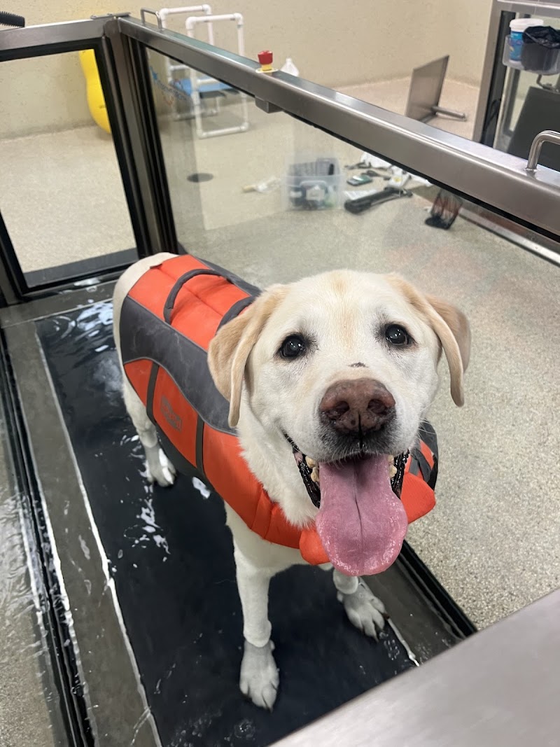 VCA Advanced Veterinary Care Center photo 3