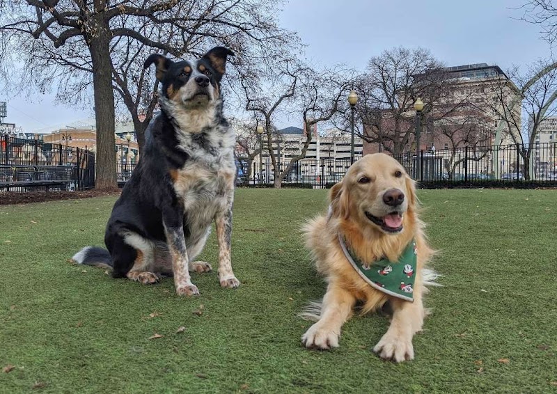 Detroit Walk City photo 2