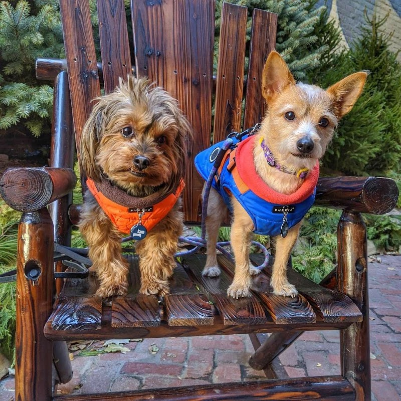 Detroit Walk City photo 3