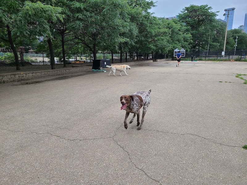 Grant Bark Park photo 2