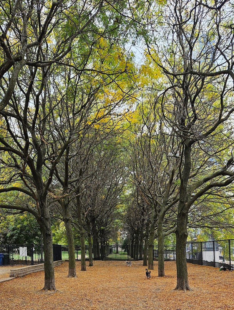 Grant Bark Park photo 3