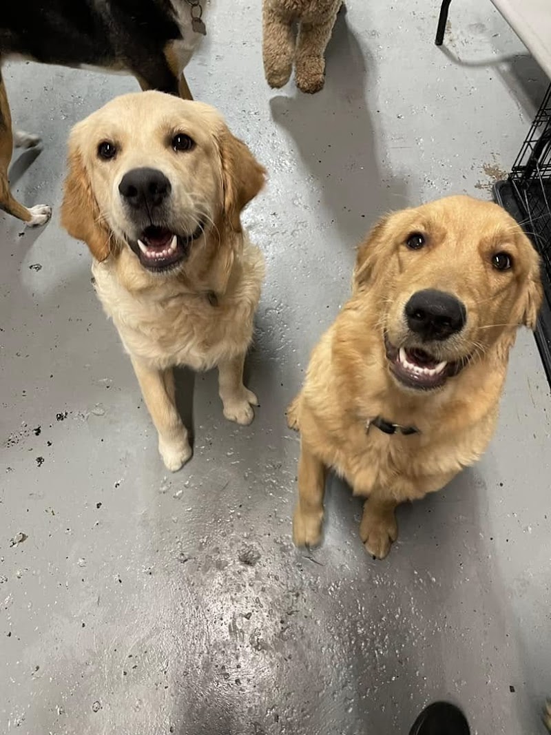 Happy Tails & Trails