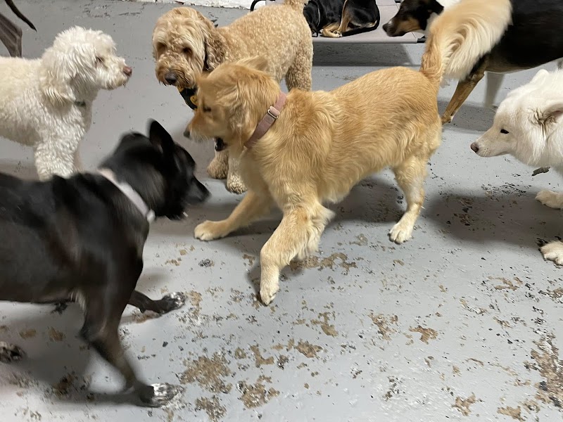 Happy Tails & Trails photo 2