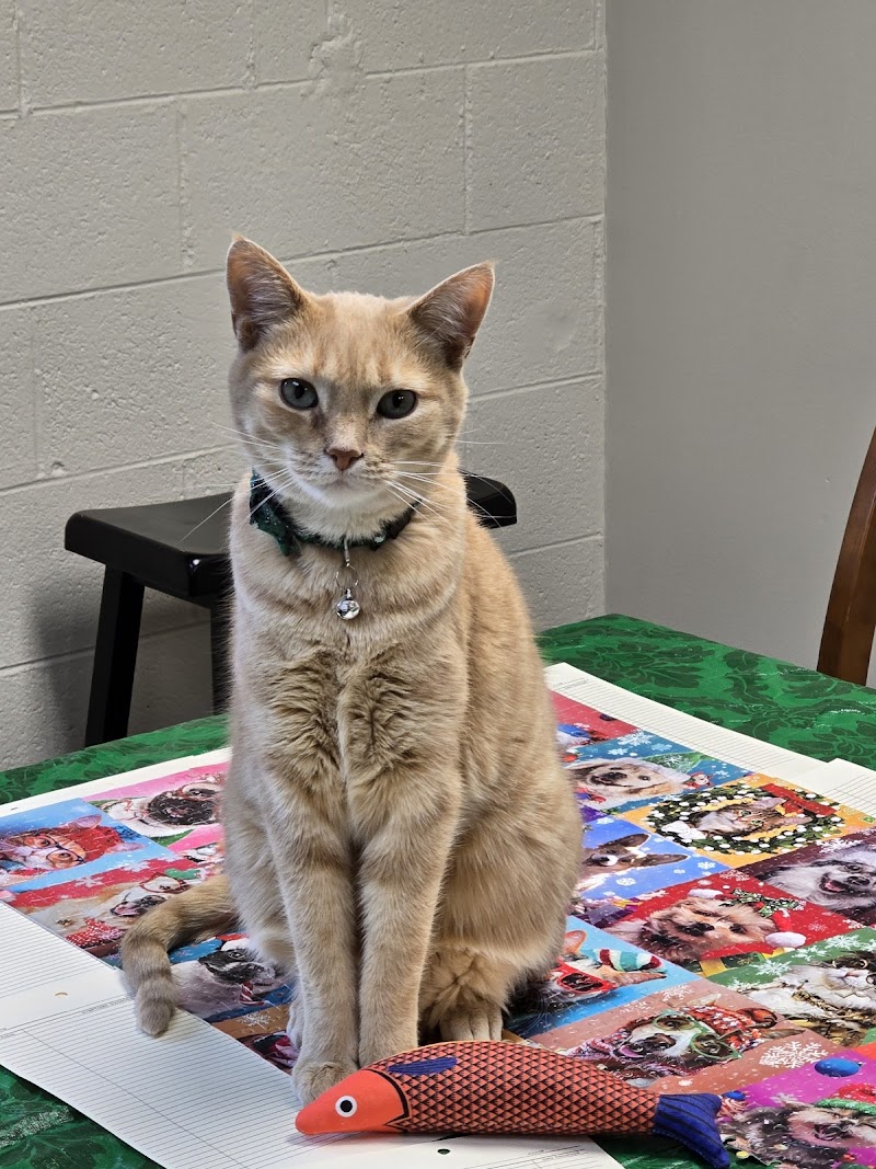 The Paw Patch Place photo 3