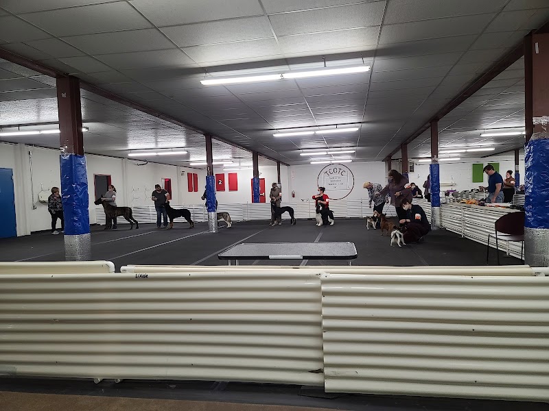 Twin Cities Obedience Training Club photo 2