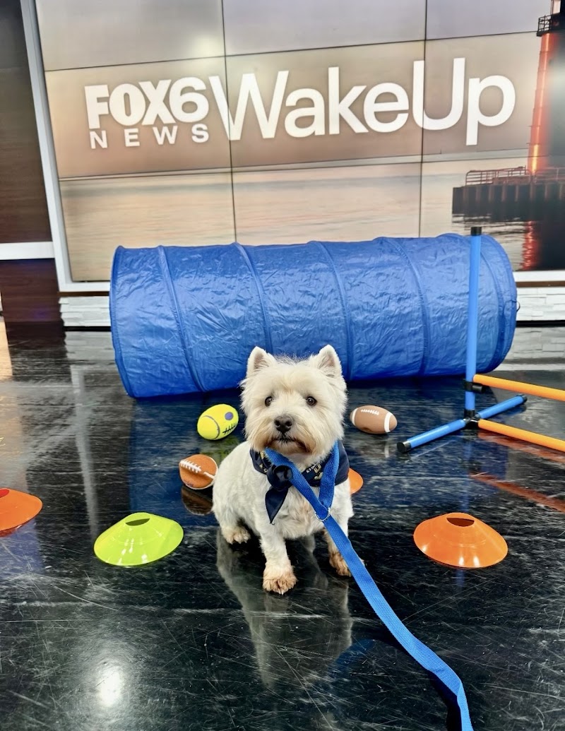 k9-5 Milwaukee photo 3