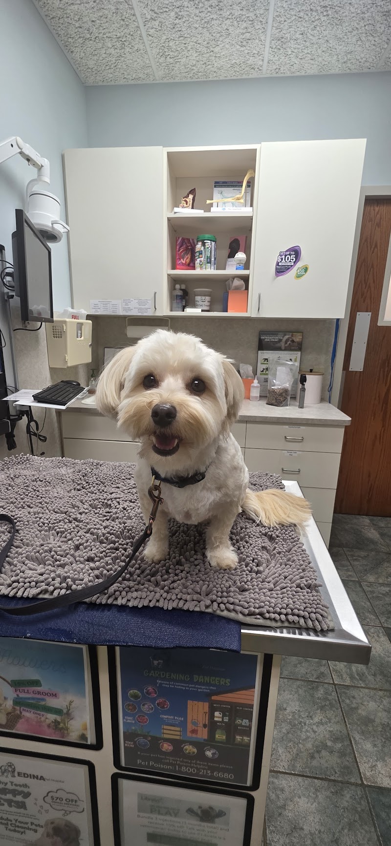 Edina Pet Hospital photo 2