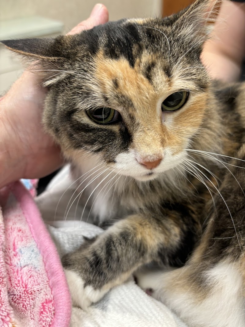 Edina Pet Hospital photo 3