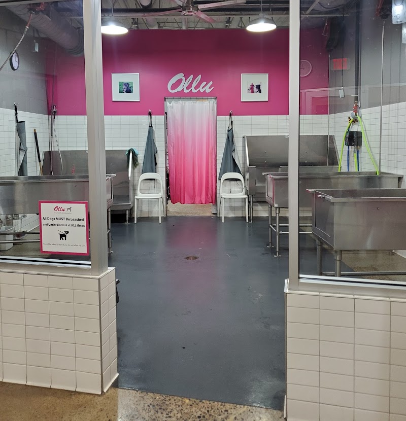 Ollu Dog Wash & Grooming Salon