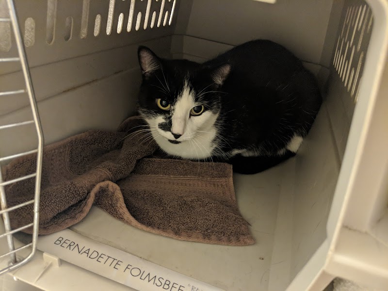 Wicker Park Veterinary Clinic