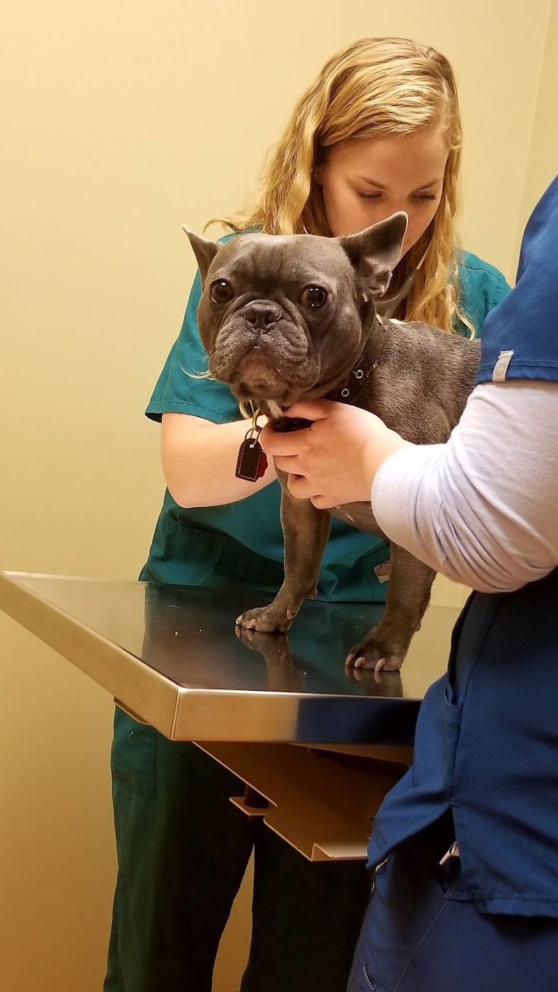 Wicker Park Veterinary Clinic photo 2