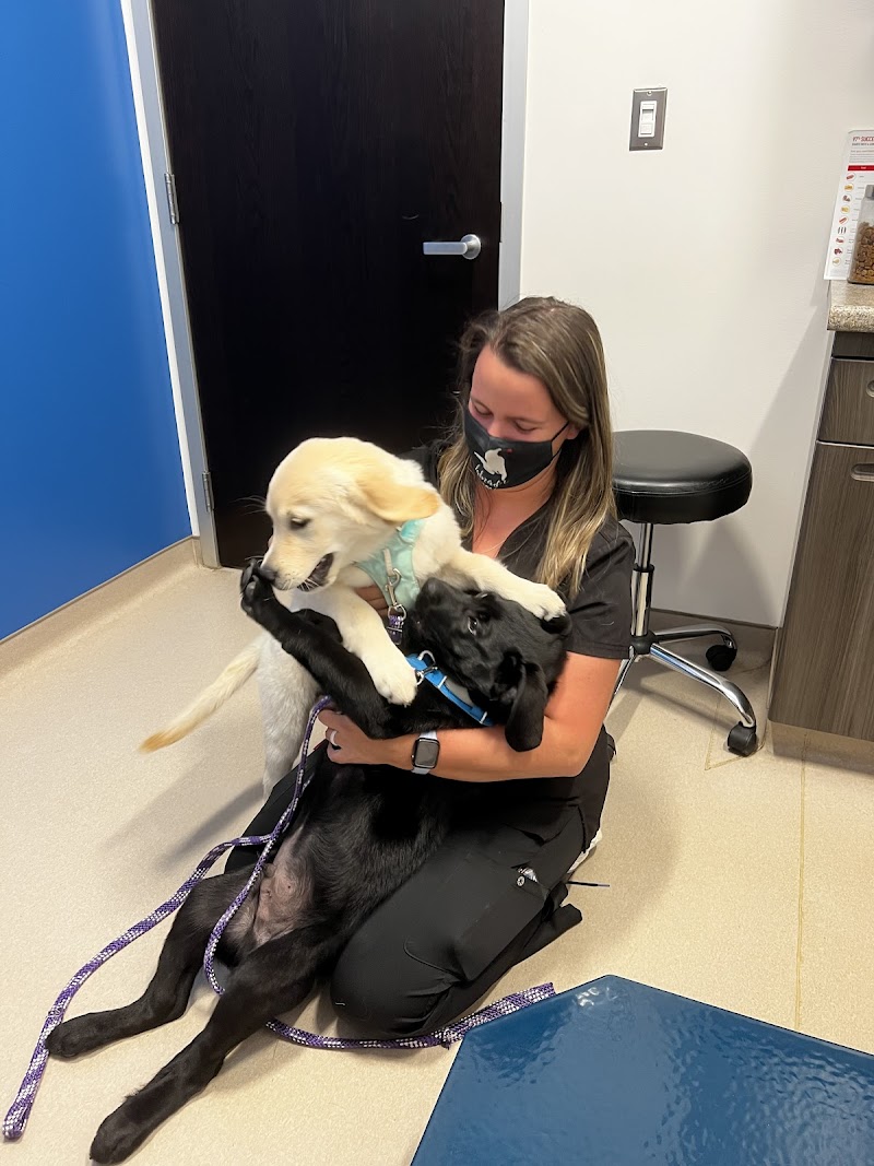 Kimball Animal Hospital photo 2