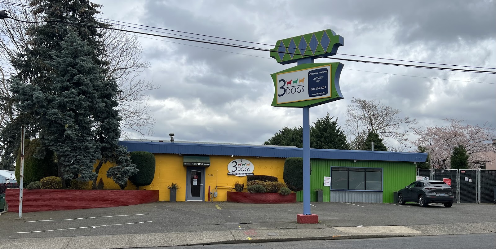 3 Dogs Boarding and Daycare