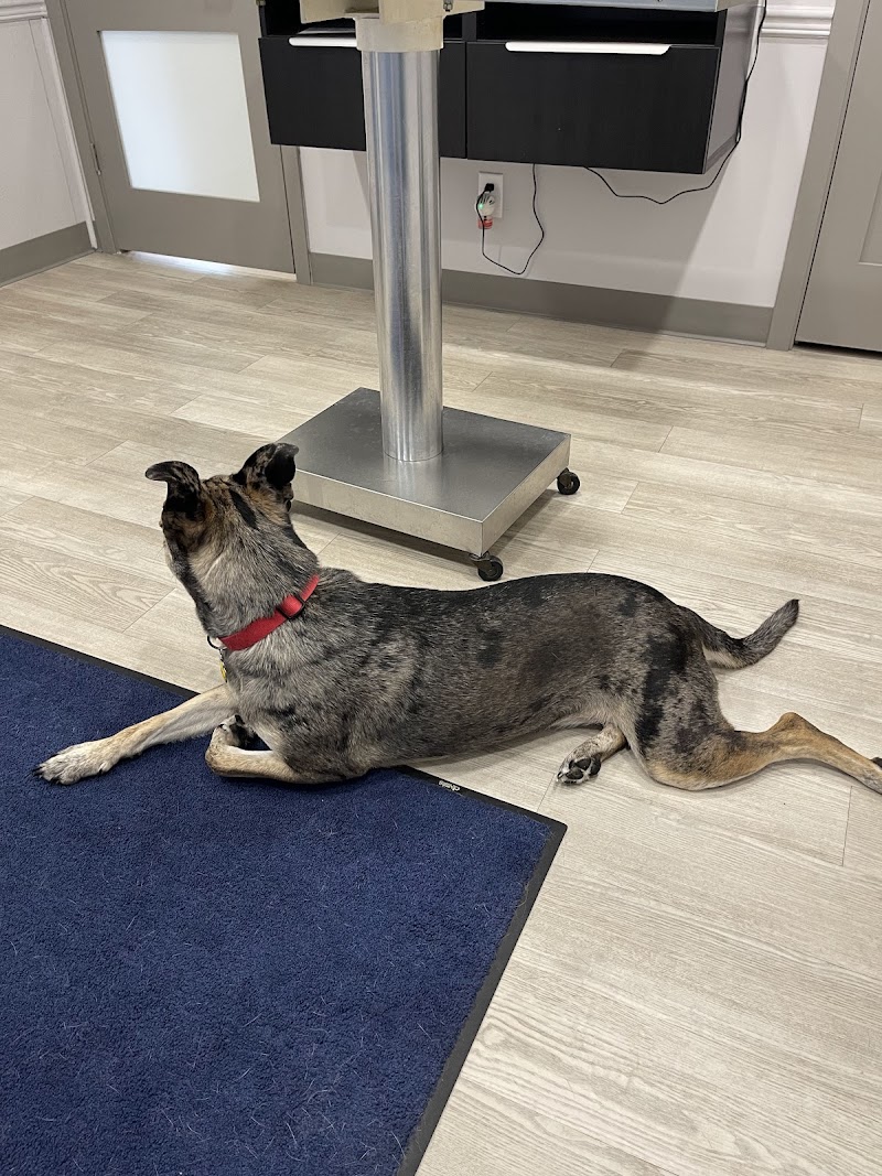 Augusta Animal Clinic