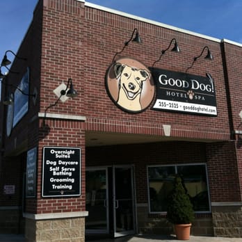 Good Dog Hotel & Spa photo 2