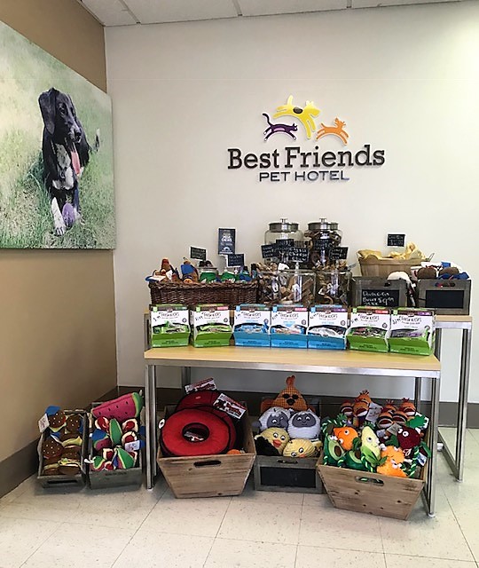 Best Friends Pet Hotel photo 2