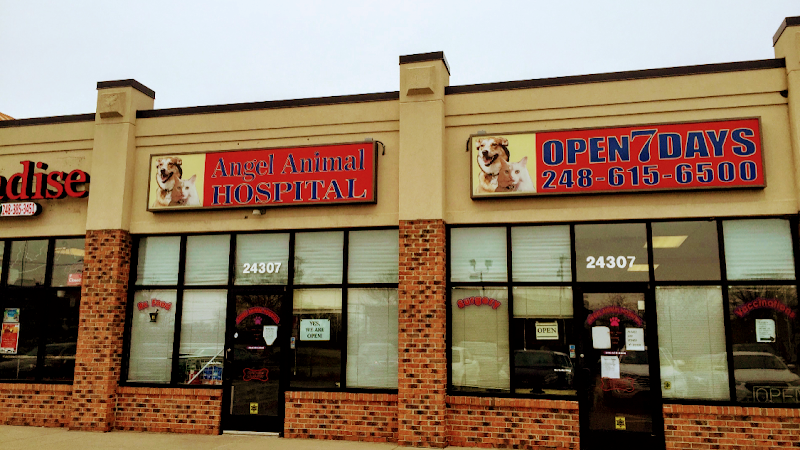 Angel Animal Hospital