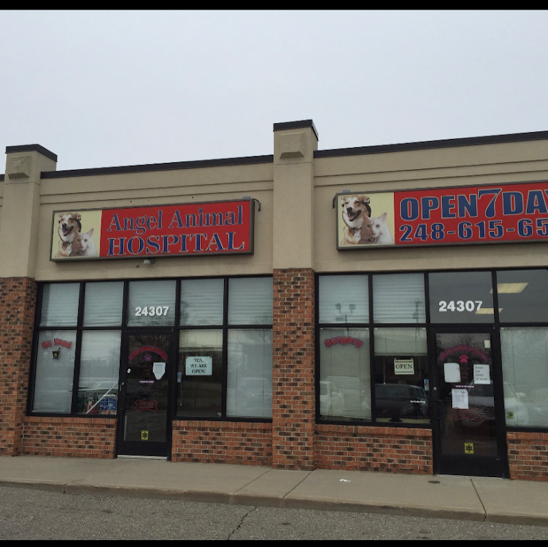 Angel Animal Hospital photo 2